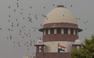 SC directs states, UTs to frame rules on movement of pedestrians,...