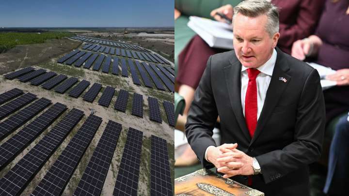 Chris Bowen’s flagship solar panel scheme spectacularly flops as vast majority of $500 million grant budget remains unused