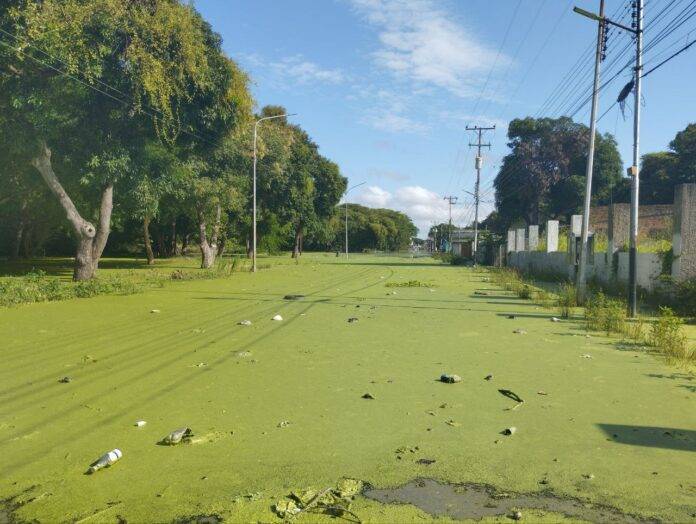 Aguas podridas y viviendas en riesgo: así están algunos sectores de Ciudad Bolívar