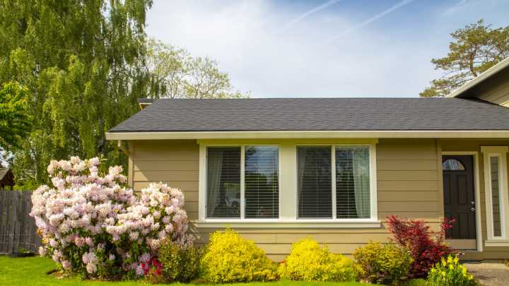 The Most Impressive, Underrated Tree You Should Be Planting In Your Yard