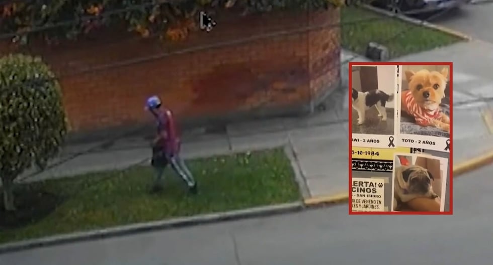 Metomil | El peligroso químico encontrado en áreas verdes de San Isidro que ocasionó la muerte de 7 mascotas | envenenamiento de mascotas | perros 