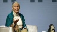 Jane Goodall cause of death revealed