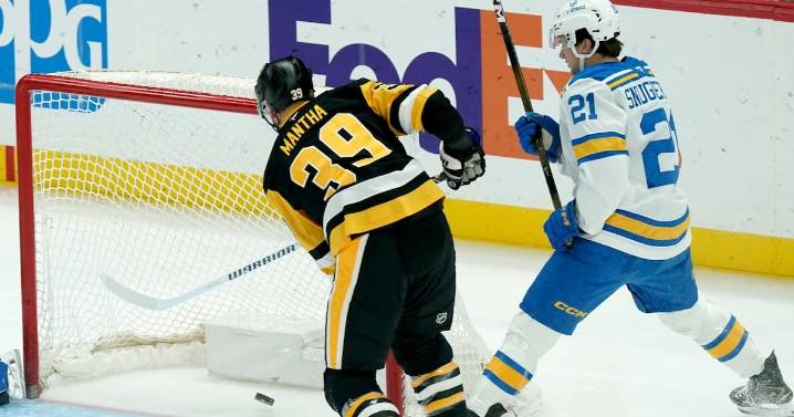 Fan falls from upper concourse during Penguins game