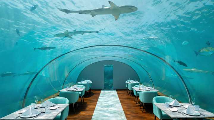 A magical underwater world at Conrad Maldives Rangali Island