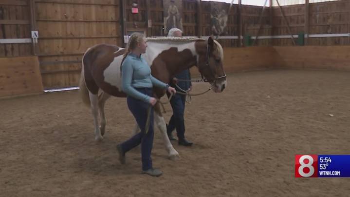 Cruisin’ CT: Old Lyme organization offers therapeutic horse riding sessions to everyone