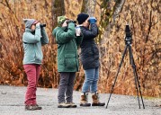 DWR hosts two free events to help bird-watchers complete Utah Birding Slam