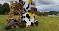 Menifee County sets up its first 'Bale Trail' for community to enjoy