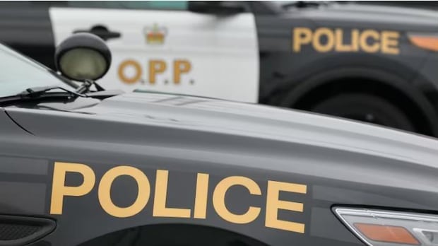 1 person dead, 3 injured in multiple-vehicle collision near Simcoe, Ont.