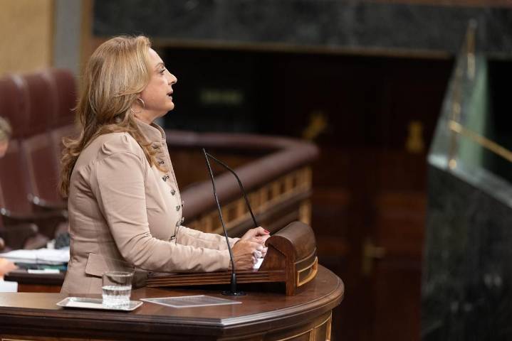 La Ley de Movilidad Sostenible, aprobada ayer, ancla la financiación para los trenes de Canarias