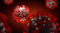 Covid mRNA vaccine may be used to fight cancers of the lung or skin