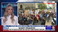 No Kings Goers Actually Want a ‘Leftist King’ Like Joe Biden: Fox Contributor