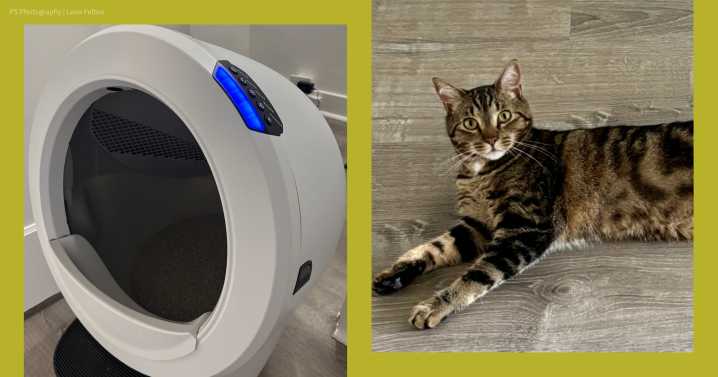 Litter-Robot 4 Review With Photos 2025