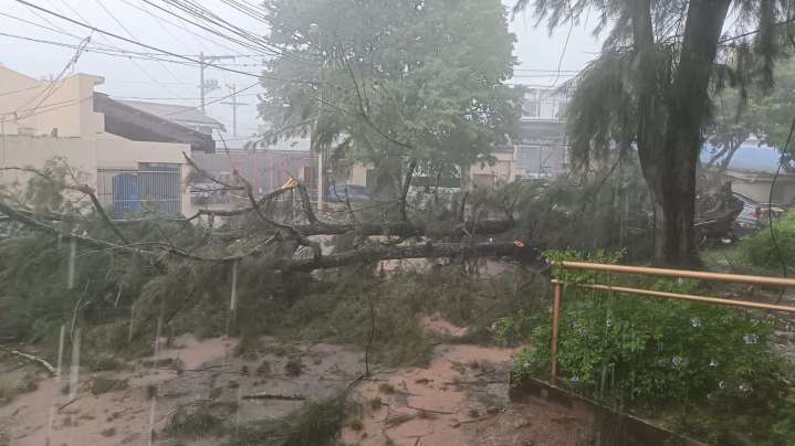 Múltiples fallas eléctricas a nivel nacional por intensas lluvias: Tegucigalpa entre las zonas más afectadas