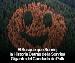 EL BOSQUE QUÉ SONRÍE
