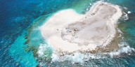 Expedición a una isla desierta: registran por primera vez los secretos de la brújula cerebral de los murciélagos en libertad