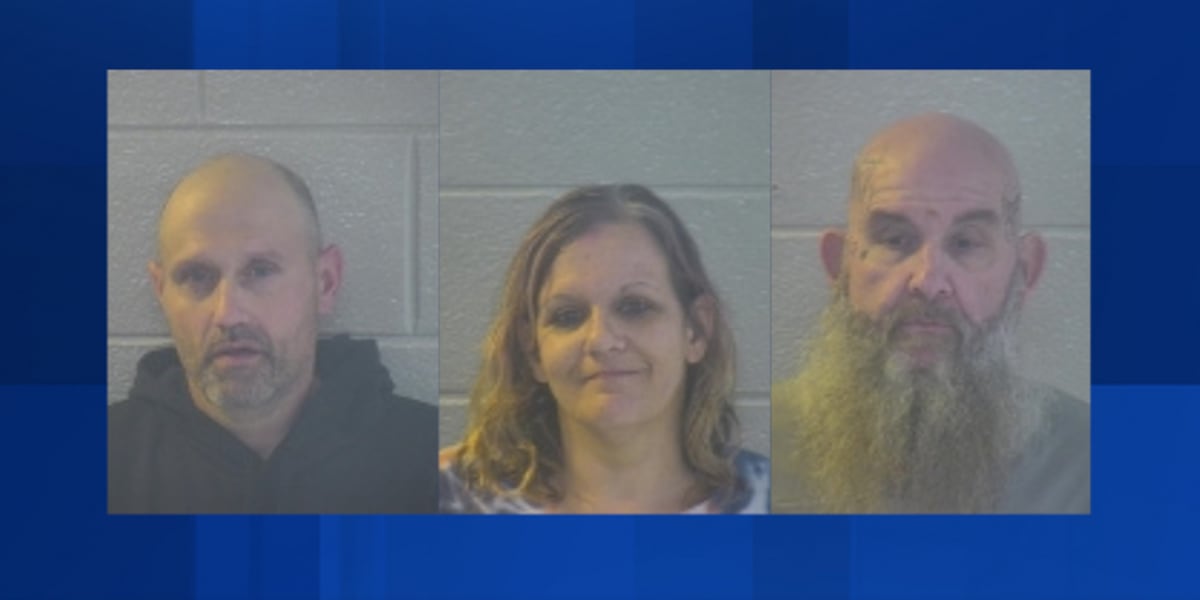 Three arrested after traffic stop on Hwy 461