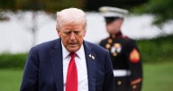 'NATO for nonprofits': Groups organize to band together if targeted by Trump