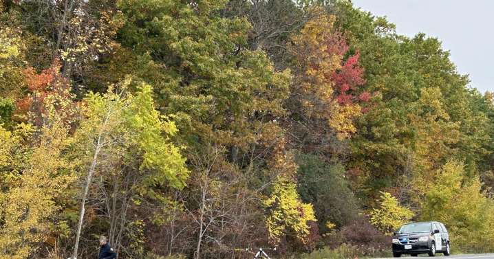 Human remains found in woods tied to Simcoe homicide: OPP