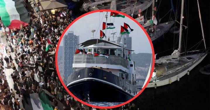 Activistas españoles repatriados denuncian trato violento de Israel: “Es tortura”