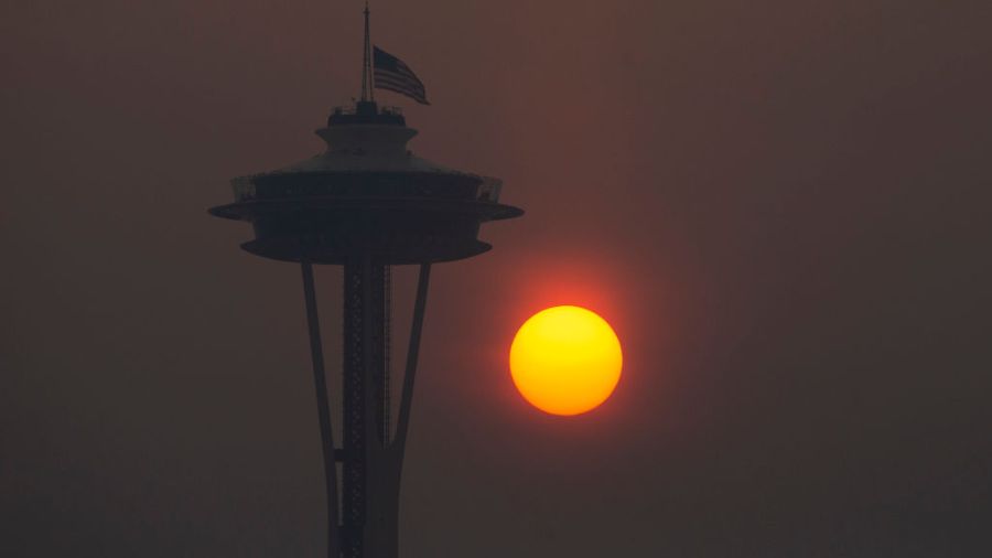 WA's summer 2025 brought warm, dry conditions across region