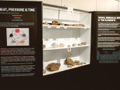 Quinte Museum of Natural History's new exhibit explores local geology