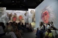 El Museo Británico de Historia Natural y David Attenborough proponen una experiencia inmersiva sobre la historia de la humanidad y la Tierra
