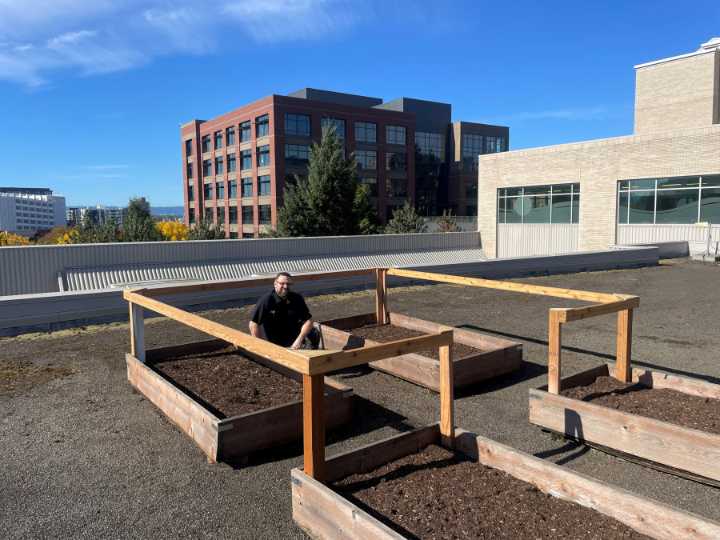 Vancouver rooftops abuzz with pollinators