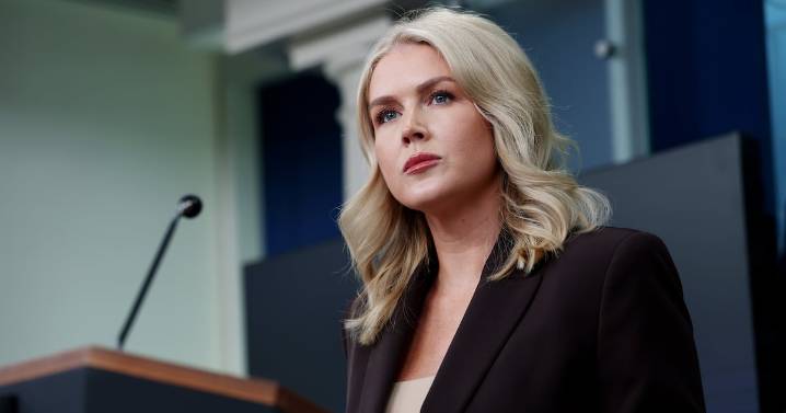 Karoline Leavitt Called Out for Playground Response