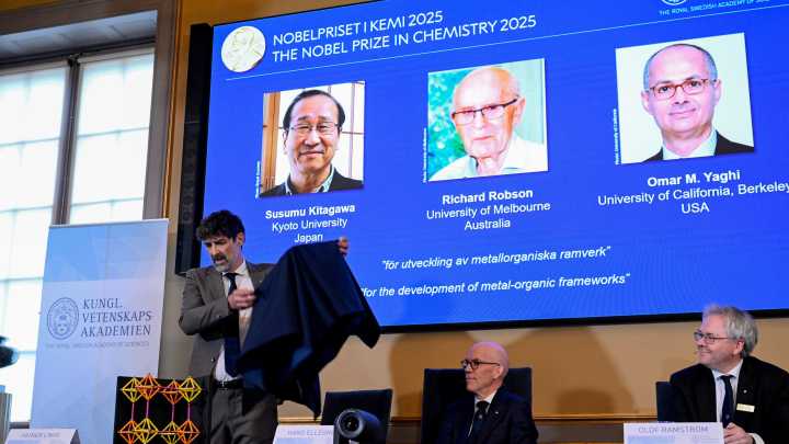 Molecular discovery that won Nobel Prize in chemistry is likened to 'Harry Potter' enchanted handbag