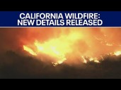 California wildfire: Man arrested in connection to Palisades fire