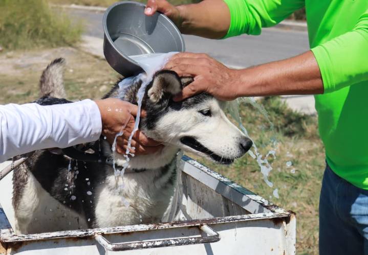 Refuerza Javier Díaz acciones de limpieza en plazas públicas de Saltillo   