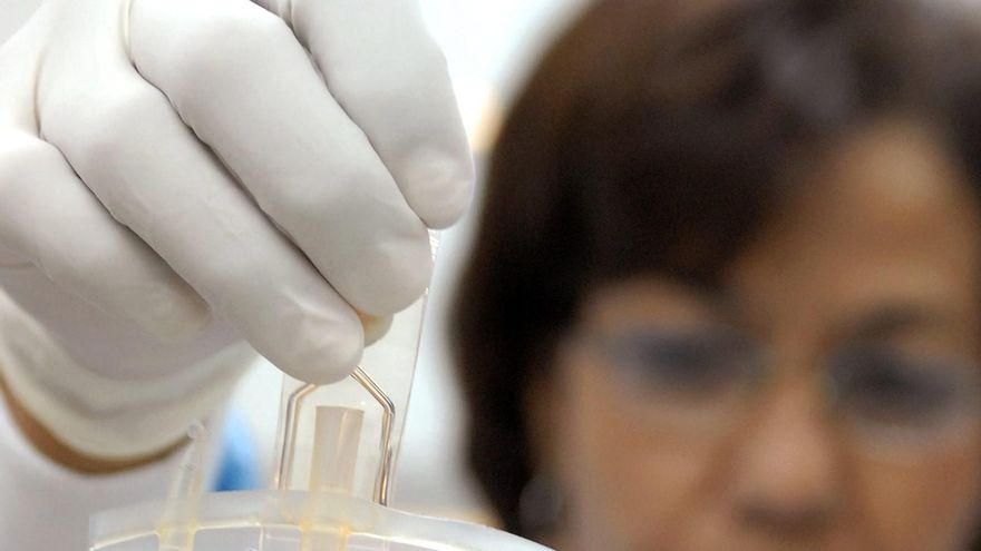 Una terapia génica logra éxito a largo plazo en "niños burbuja"