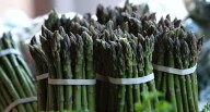 Agrokasa y el inesperado regreso a cultivo clave: el proyecto con Pacific Produce en Pisco