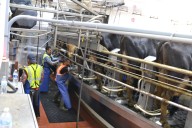 International commission to review North Dakota dairy projects
