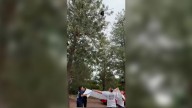 Policías rescataron a un gatito que quedó atrapado en lo alto de un árbol
