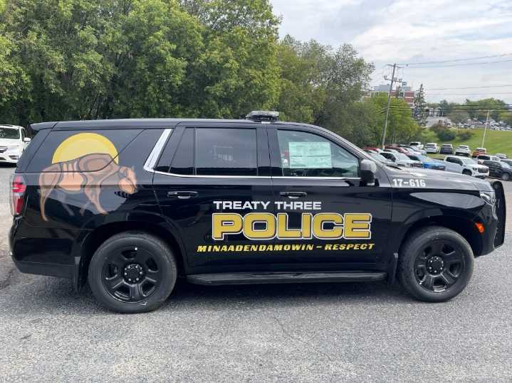 Cabin and vehicle fire leads to arrest