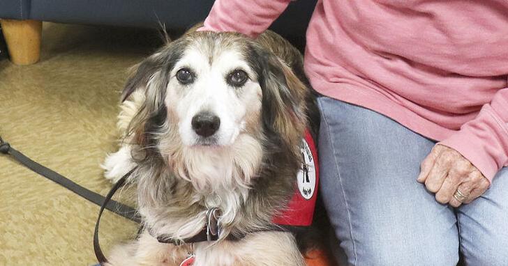 A pawsitive influence