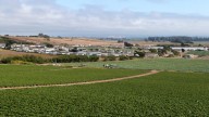 California Sanctions Stark Disparities in Pesticide Exposure During Pregnancy