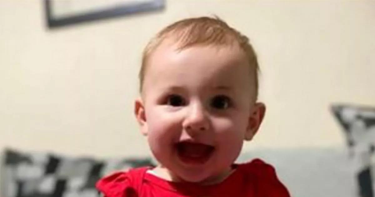 Baby girl left in coma after being mauled by XL Bully reported to cops months earlier