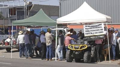 Segundo día de paro nacional de campesinos: hay 25 puntos carreteros cerrados totalmente en Guanaju…