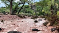 Floods strike Utah after heavy rainstorms