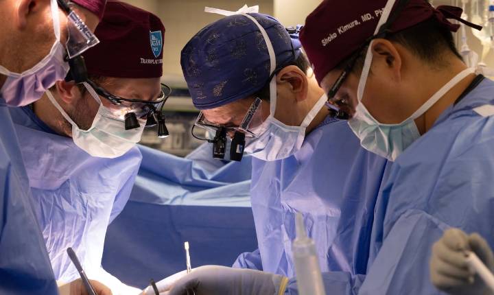 Hombre de 54 años es el siguiente estadounidense en recibir trasplante experimental de un riñón de cerdo