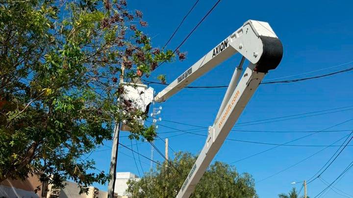 La Municipalidad trabaja en una poda general de árboles en el barrio Saint Germés