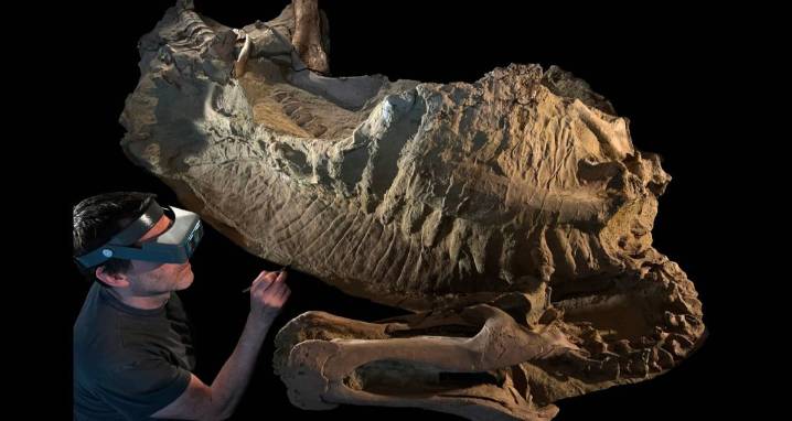 'Mummy' Dinosaur Fossil With Preserved Skin Found In Wyoming
