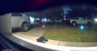 Organized car break-in ring targets multiple metro Detroit cities, police say