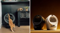 Meet the new AI-powered Litter-Robot 5 for clever cat care