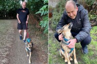 Rescue Dog Who Spent Months Hiding Behind Sofa Finally Goes on Walk (Exclusive)
