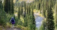 2 faces of backpacking: Contrasting trips into Crazy Mountains, Yellowstone
