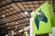 Horse Sport Ireland hit with bullying complaints as showjumpers revolt over process to recruit new manager