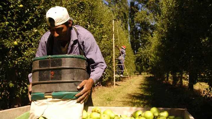 CAME celebró la prórroga que permite compatibilizar planes sociales con trabajo rural registrado